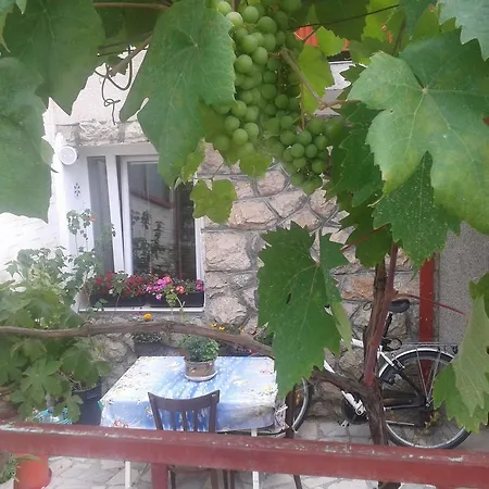 House Nativa Guest house 3*