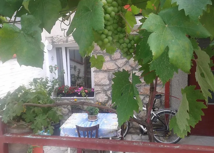 House Nativa Guest house 3*